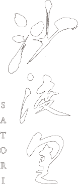 SATORI